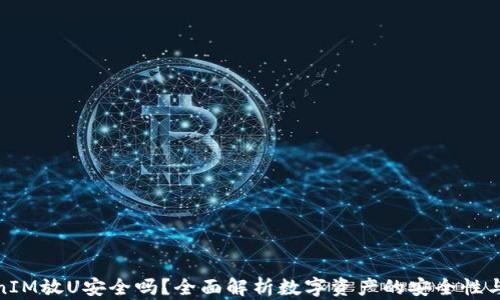 
TokenIM放U安全吗？全面解析数字资产的安全性与风险