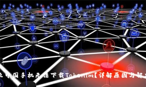 为什么中国手机无法下载Tokenim？详解原因与解决方案