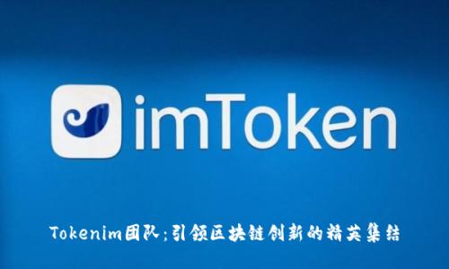 Tokenim团队：引领区块链创新的精英集结
