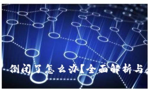 Tokenim 倒闭了怎么办？全面解析与应对策略