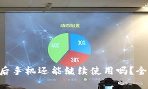 Tokenim钱包被盗后手机还能继续使用吗？全面解析与应对措施