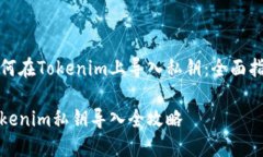 如何在Tokenim上导入私钥：全面指南T