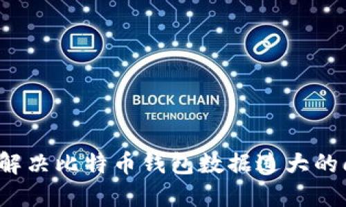 如何解决比特币钱包数据过大的问题？