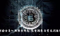 如何安全导入狗狗币钱包：完整指导与