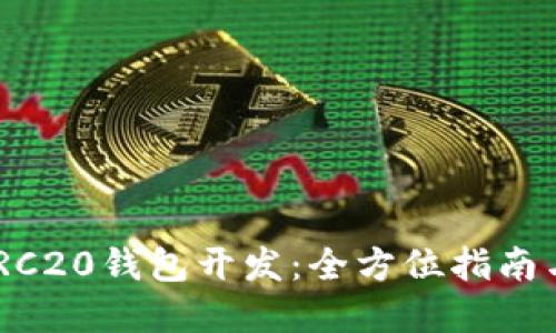 : USDT ERC20钱包开发：全方位指南与实施策略