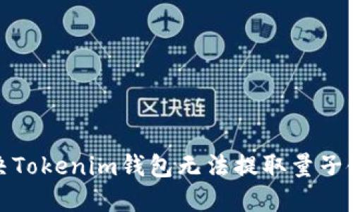 如何解决Tokenim钱包无法提取量子链的问题