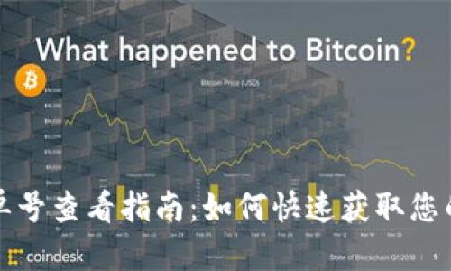 TP钱包订单号查看指南：如何快速获取您的交易信息