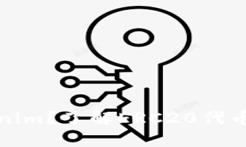 什么是Tokenim？了解ERC20代币的基础知识