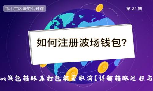 : Tokenim钱包转账未打包能否取消？详解转账过程与注意事项