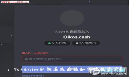 : Tokenim私钥丢失后该如何挽救资产？