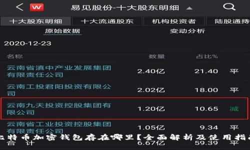 比特币加密钱包存在哪里？全面解析及使用指南