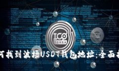 如何找到波场USDT钱包地址：全面指南