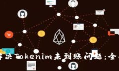 如何解决Tokenim未到账问题：全面指南