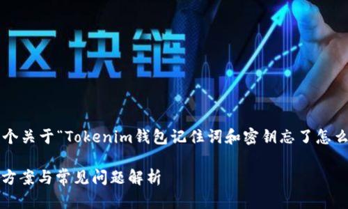 为了确保信息的准确性和有效性，我将为您提供一个关于“Tokenim钱包记住词和密钥忘了怎么办”的推广、关键词和内容大纲。以下是相关信息： 

Tokenim钱包忘记记住词和密钥怎么办？详细解决方案与常见问题解析
