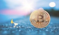 以太坊钱包开发：构建安全高效的区块