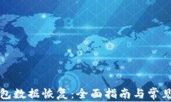 比特币钱包数据恢复：全面指南与常见