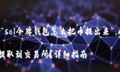 为了更好地理解和介绍“sol令牌钱包怎