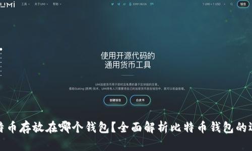 比特币存放在哪个钱包？全面解析比特币钱包的选择