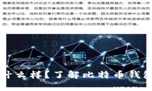 比特币钱包长什么样？了解比特币钱包的种类与功能