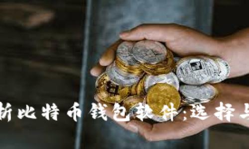 全面解析比特币钱包软件：选择与安全性