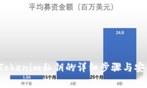  如何查看Tokenim私钥的详细步骤与安全注意事项
