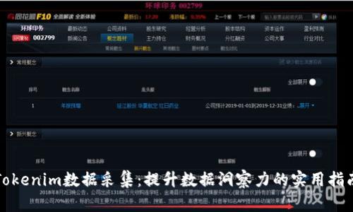 Tokenim数据采集：提升数据洞察力的实用指南