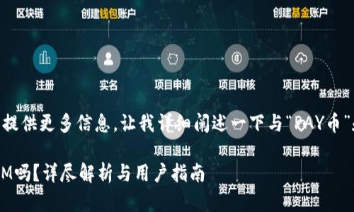 为了完整回答您的问题并提供更多信息，让我详细阐述一下与“PAY币”和“TokenIM”相关的内容：

### PAY币能存TokenIM吗？详尽解析与用户指南
